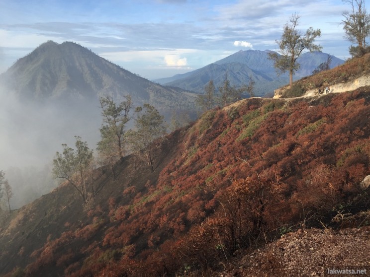 The Hike back to camp after a daw visit of Ijen Crater