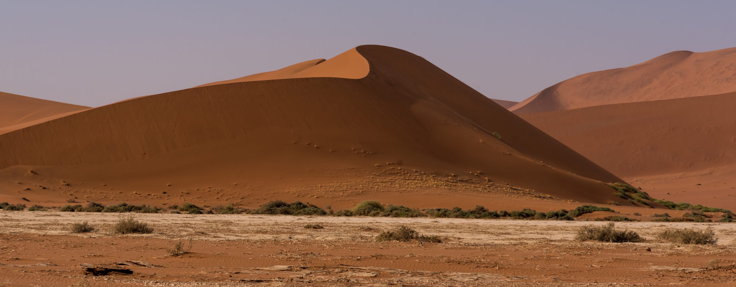 The dunes around Sossusvlei