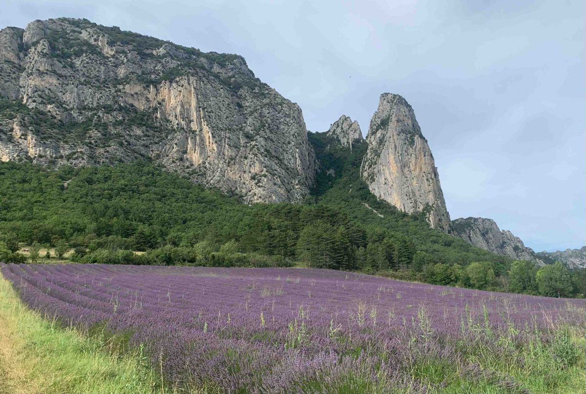 Lavender fields at the village of Saou and the Trois Bec Rock Massives
